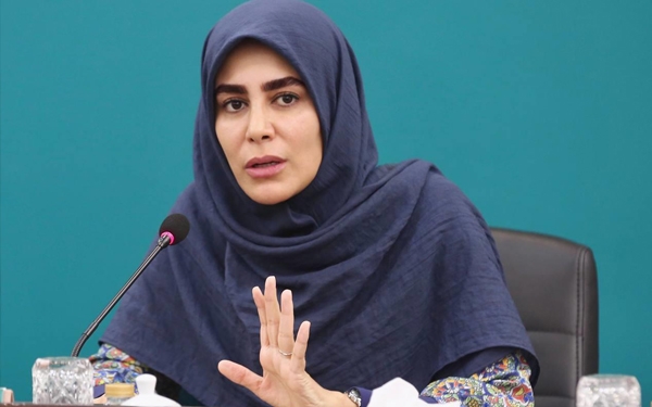 نادره رضایی: سند ملی موسیقی به حل مسئله موسیقی رپ کمک کند